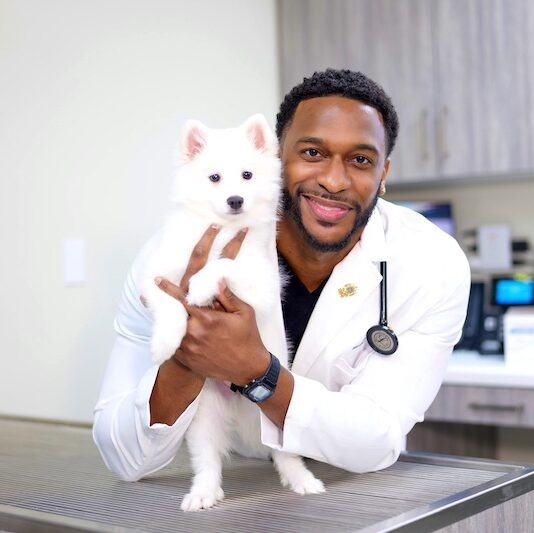 DR. JOE J. OWENS |||