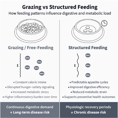 Grazing vs Structured Feeding infographic