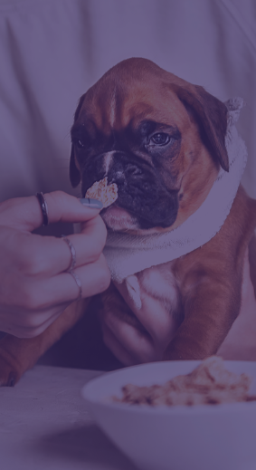 FEEDING BEHAVIOR VS DIET: WHAT ACTUALLY DRIVES LONG-TERM HEALTH