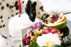 how scent affects pet appetite